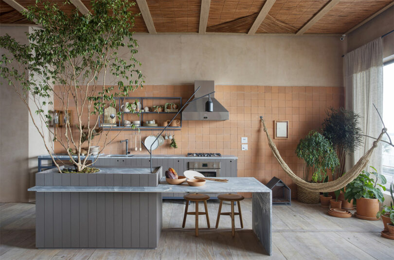 Modern kitchen with large gray island with tree built into it