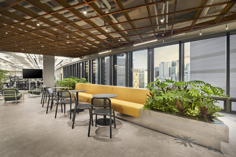 Modern office lounge area with plants and a city view.