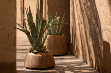 The NAGORI Planter Collection Finds Life in Fleeting Moments